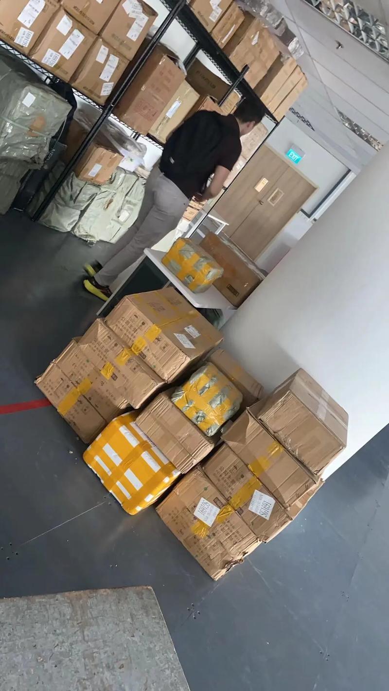 中国冷冻货物运输新加坡物流公司代理全解析